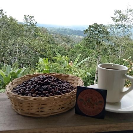 Hotel Green Mountain Turrialba Bagian luar foto