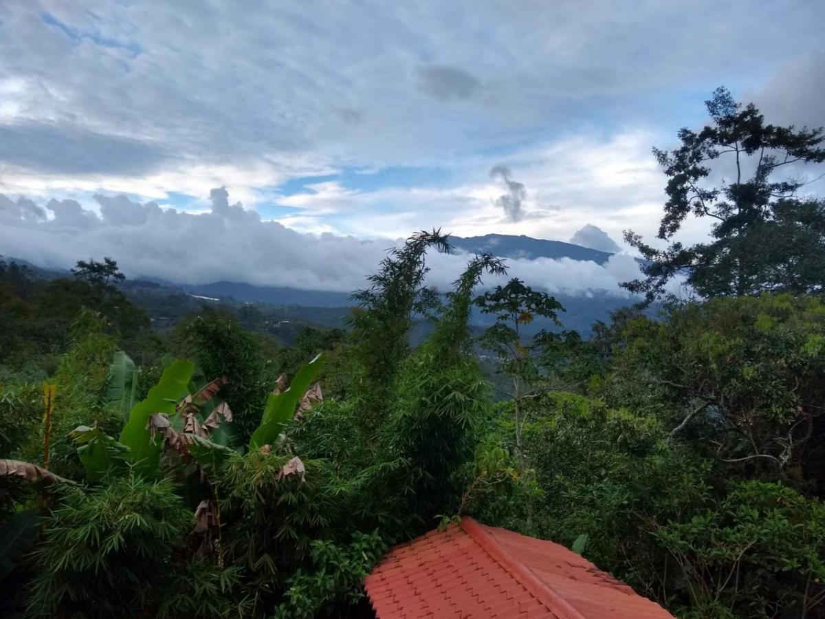 Hotel Green Mountain Turrialba Bagian luar foto