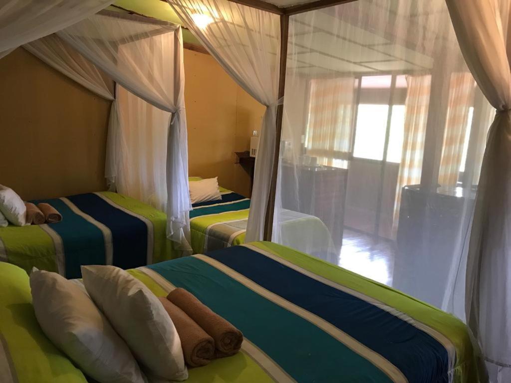 Hotel Green Mountain Turrialba Bagian luar foto