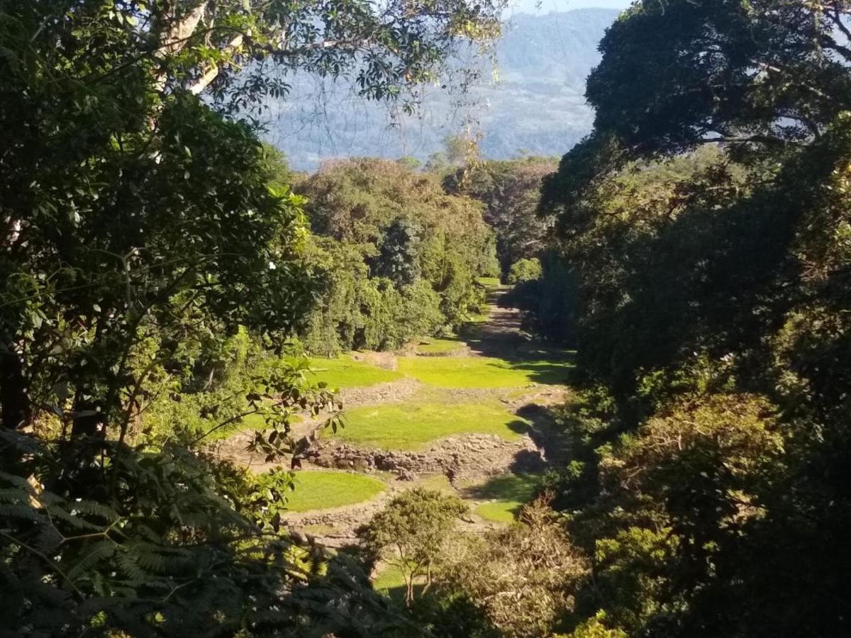 Hotel Green Mountain Turrialba Bagian luar foto