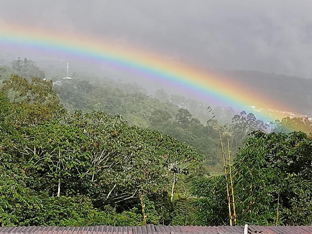 Hotel Green Mountain Turrialba Bagian luar foto