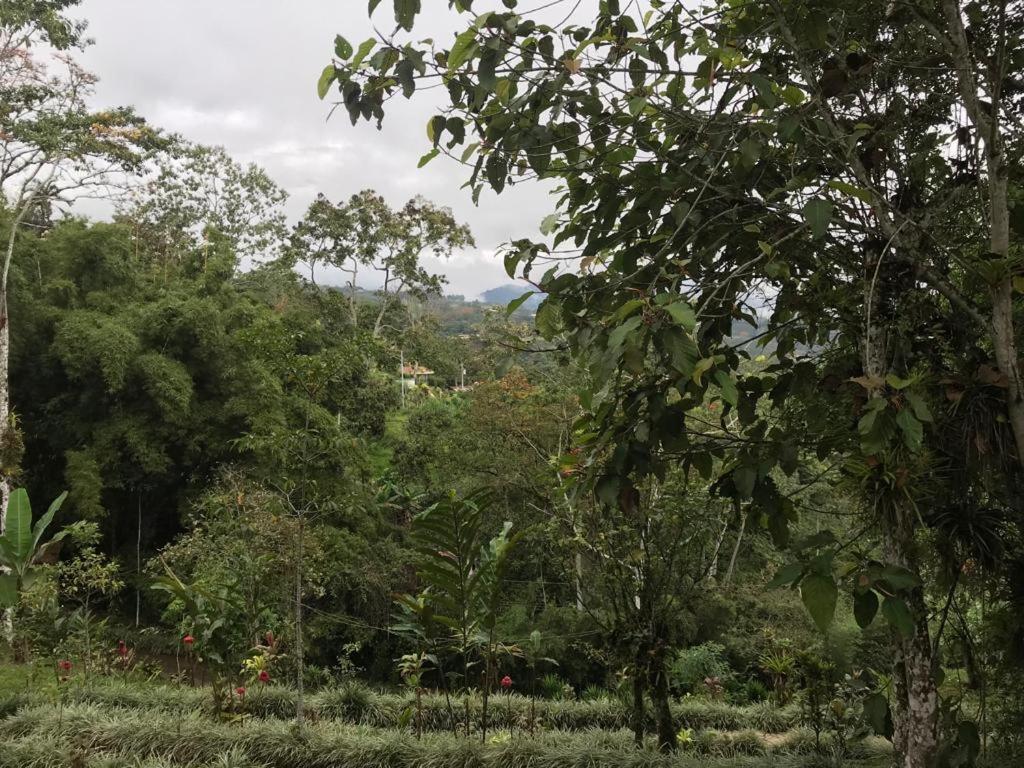 Hotel Green Mountain Turrialba Bagian luar foto