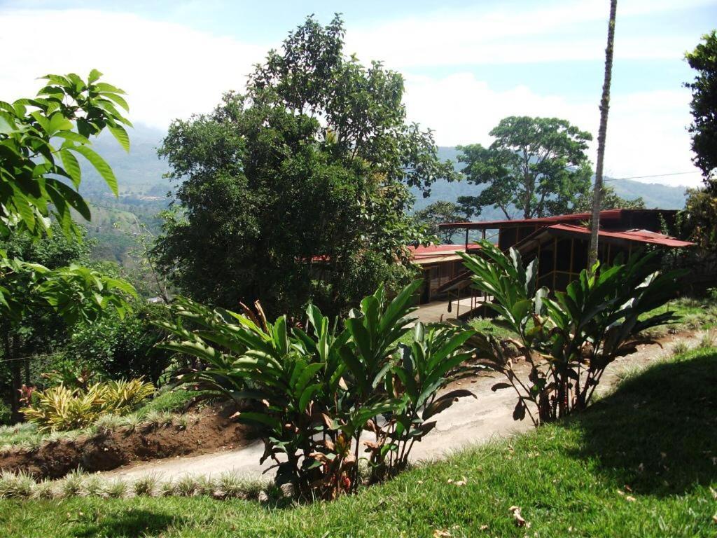 Hotel Green Mountain Turrialba Bagian luar foto