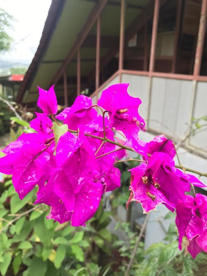Hotel Green Mountain Turrialba Bagian luar foto