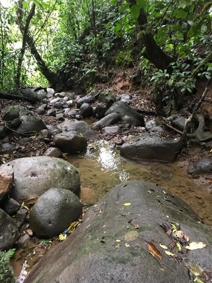 Hotel Green Mountain Turrialba Bagian luar foto