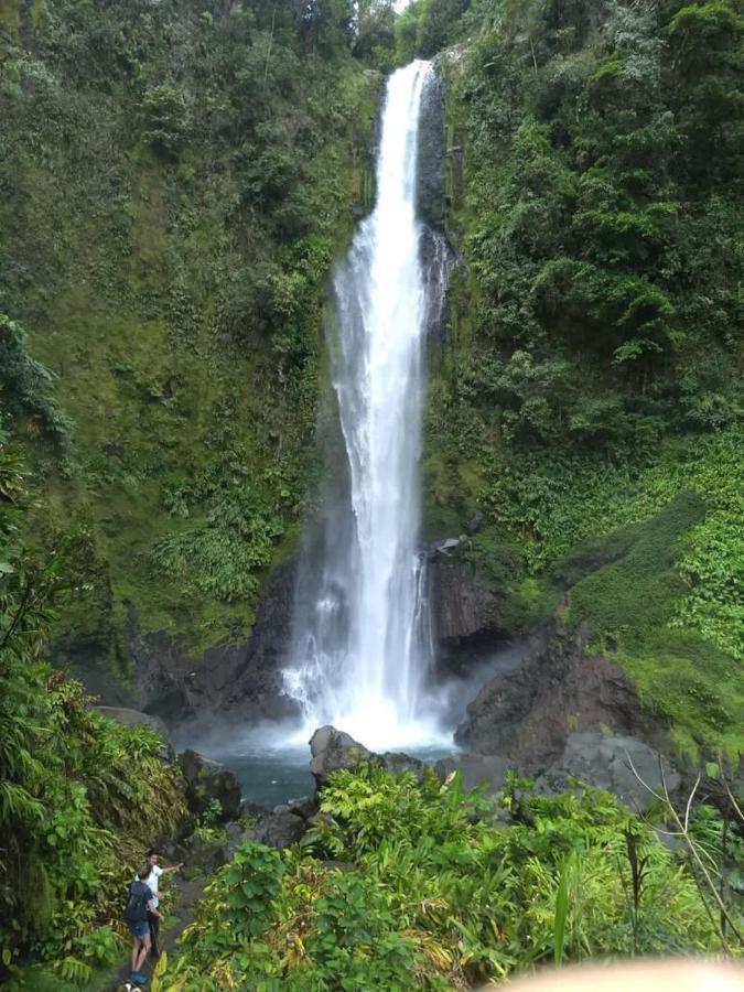 Hotel Green Mountain Turrialba Bagian luar foto