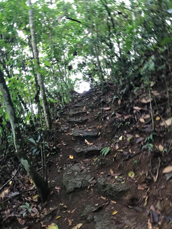 Hotel Green Mountain Turrialba Bagian luar foto