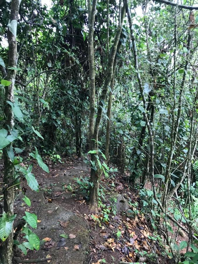 Hotel Green Mountain Turrialba Bagian luar foto