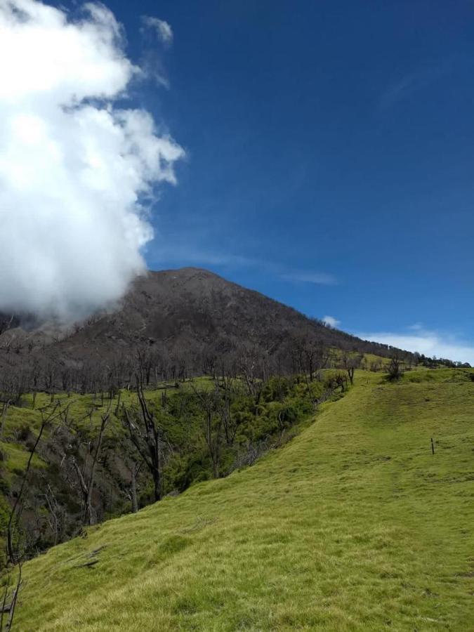 Hotel Green Mountain Turrialba Bagian luar foto