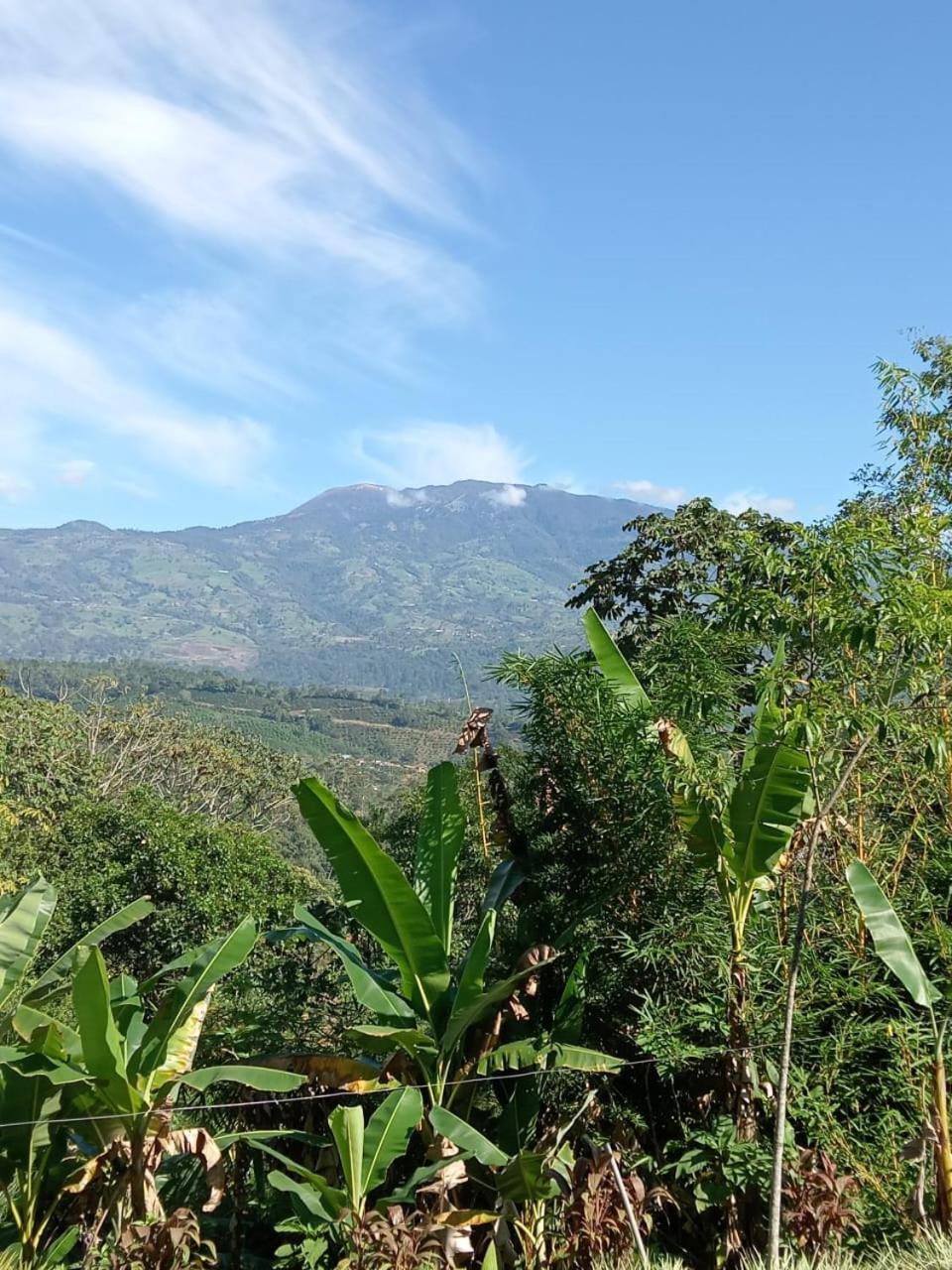 Hotel Green Mountain Turrialba Bagian luar foto