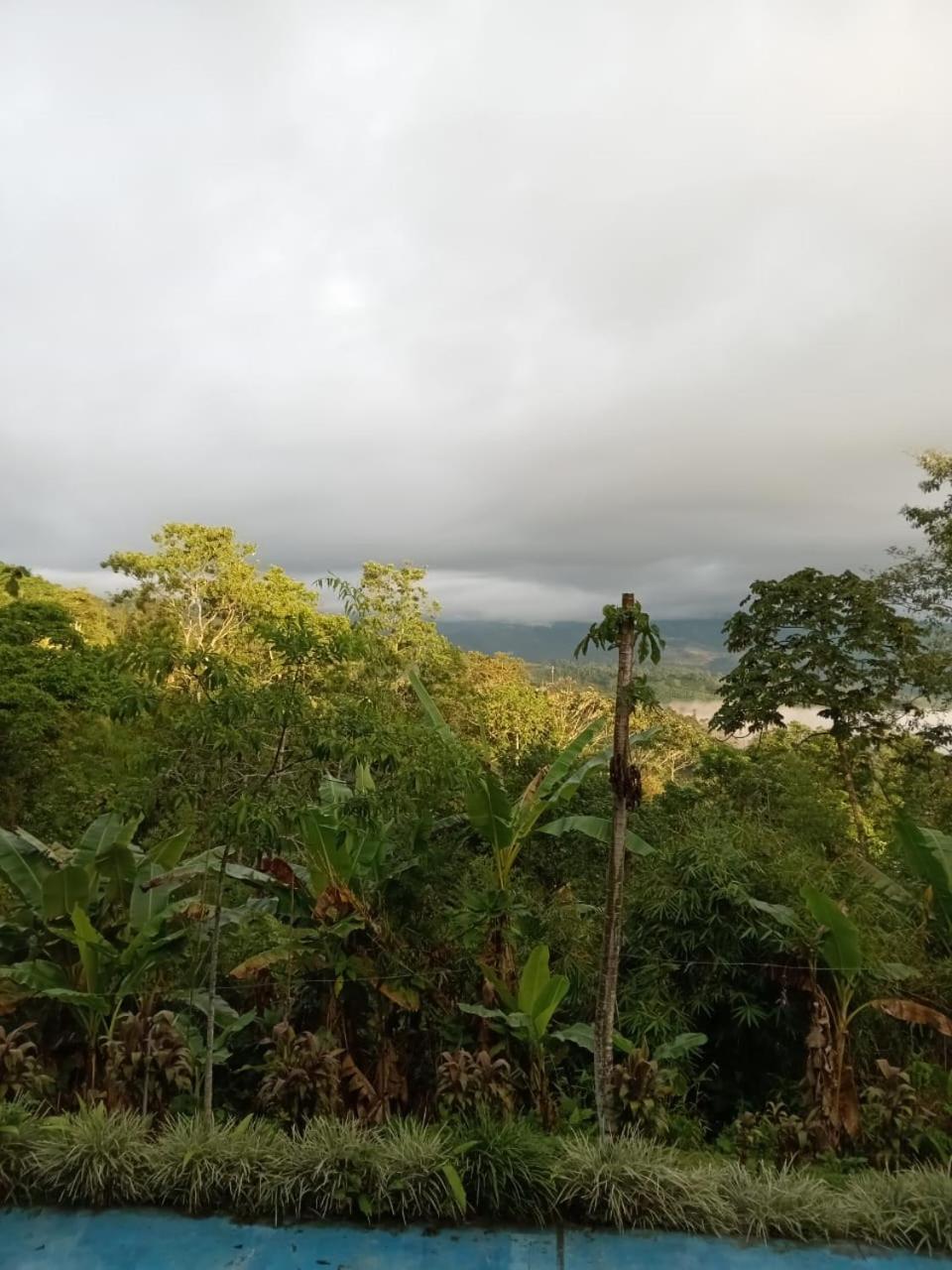 Hotel Green Mountain Turrialba Bagian luar foto