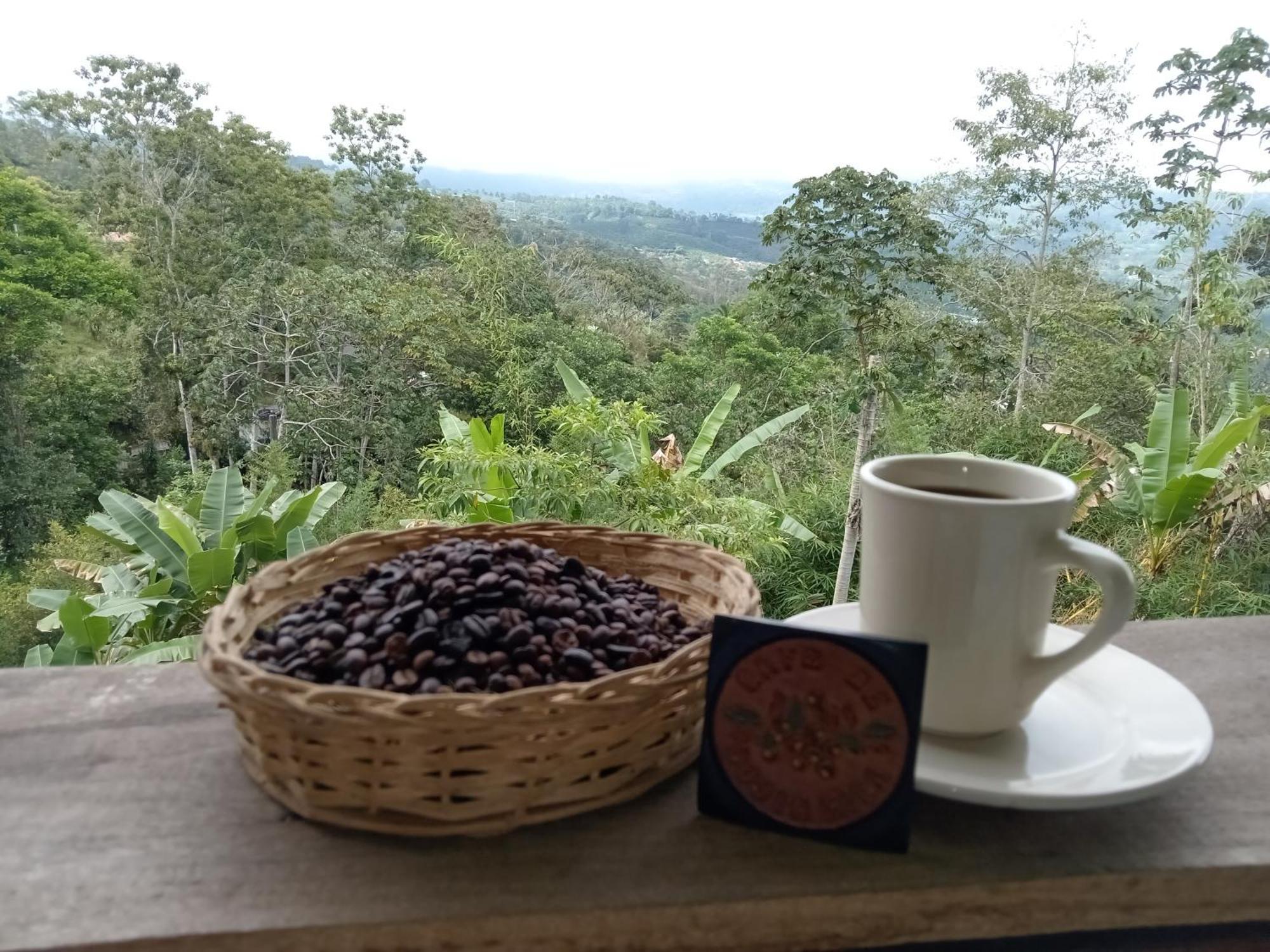 Hotel Green Mountain Turrialba Bagian luar foto