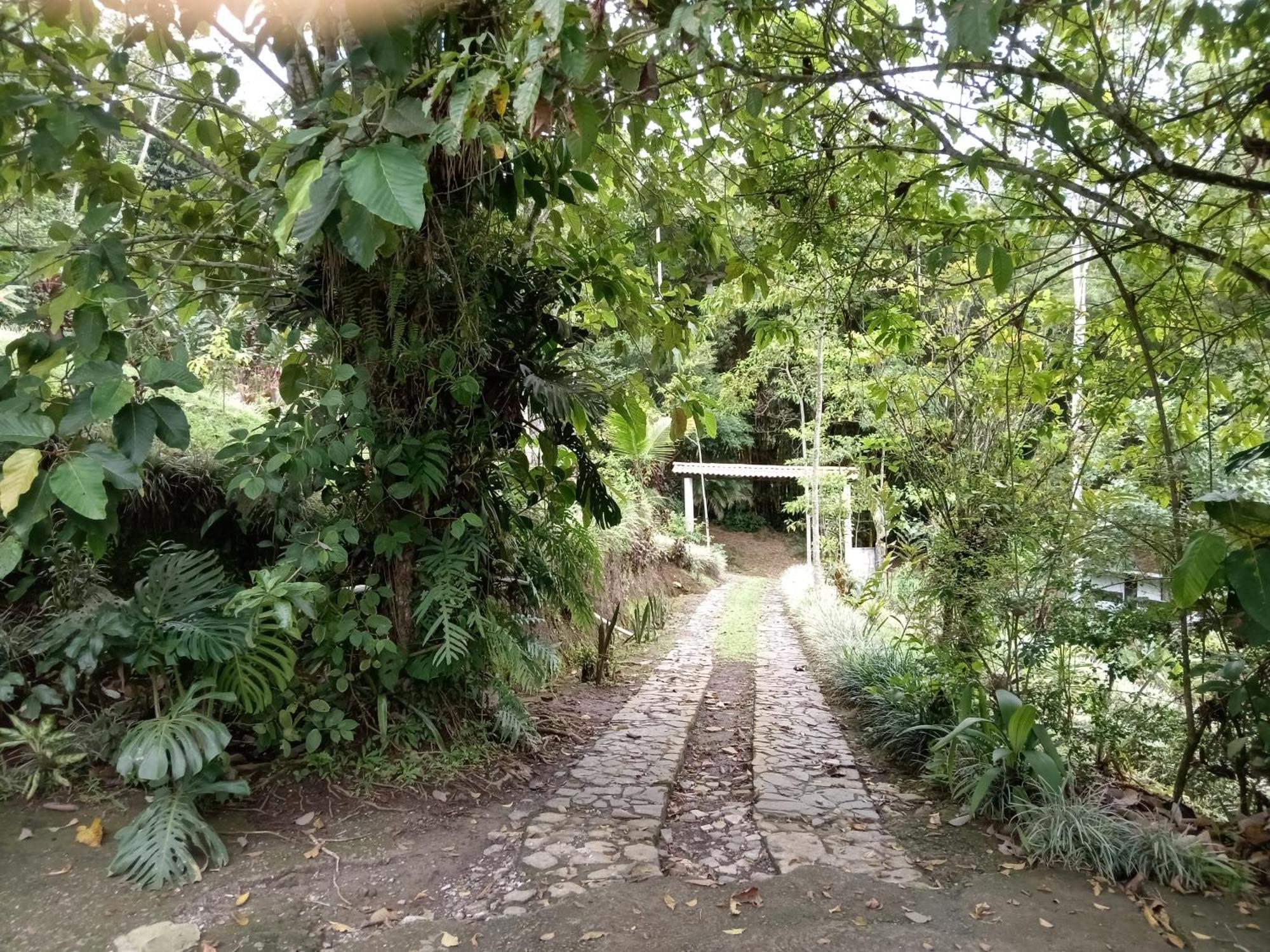 Hotel Green Mountain Turrialba Bagian luar foto