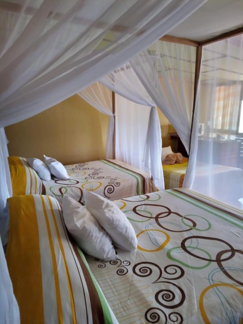 Hotel Green Mountain Turrialba Bagian luar foto