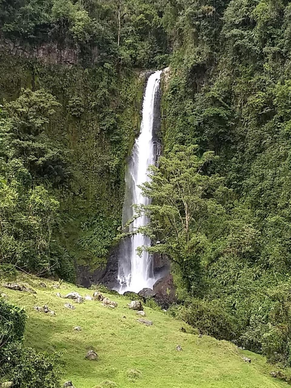 Hotel Green Mountain Turrialba Bagian luar foto